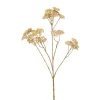 Achillea spray cream 72cm