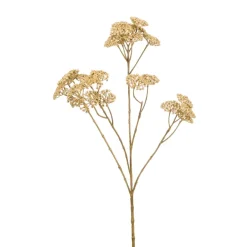 Achillea spray cream 72cm