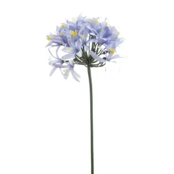 Agapanthus spray blauw 80cm