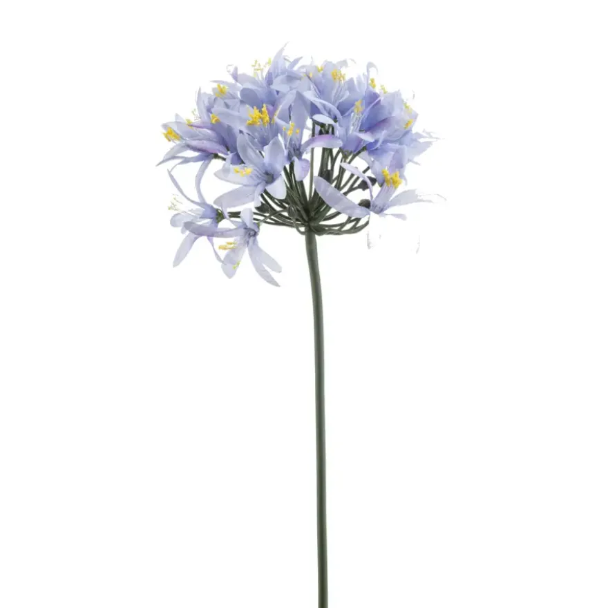 Agapanthus spray blauw 80cm