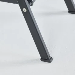 Altrex huishoudtrap Giant 2 treden zwart