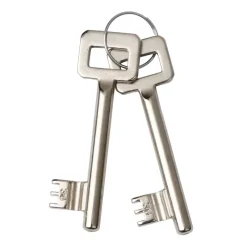 ATZ Insteekslot dag- /nachtslot met RVS voorplaat Doorn 50mm PC 55mm