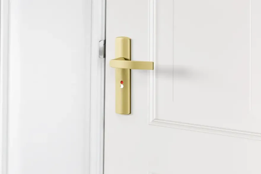 AXA deurkrukset Curve Blok goud blindschild zilver wc-/badkamersluiting 63/8