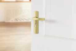 AXA deurkrukset Curve Blok goud blindschild sleutelgat PC55