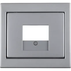 Berker K5 Afdekplaat USB RVS