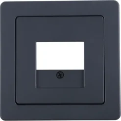 Berker Q1 Afdekplaat USB Antraciet