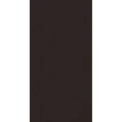 Betonplex plaat 250 x 125 cm 18 mm anti-slip