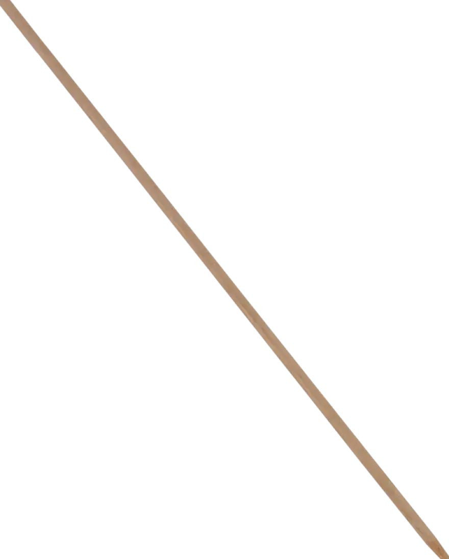 Bezemsteel hout 160 cm