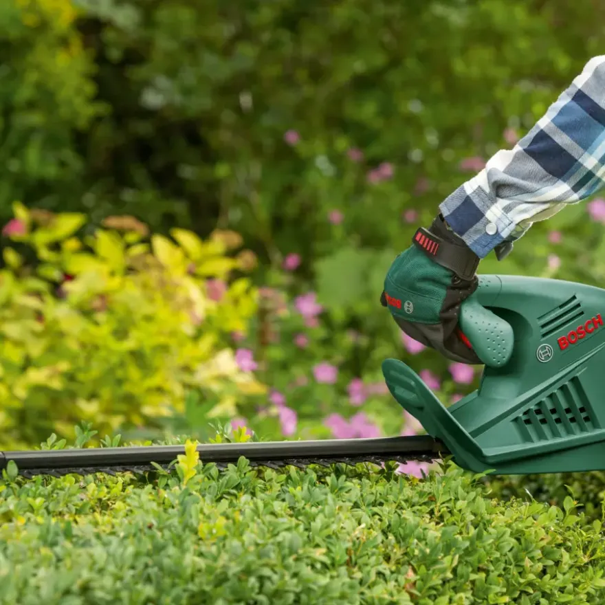 Bosch heggenschaar EasyHedgeCut 55cm