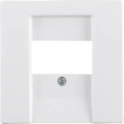 Busch-Jaeger Future Linear Afdekplaat USB Wit