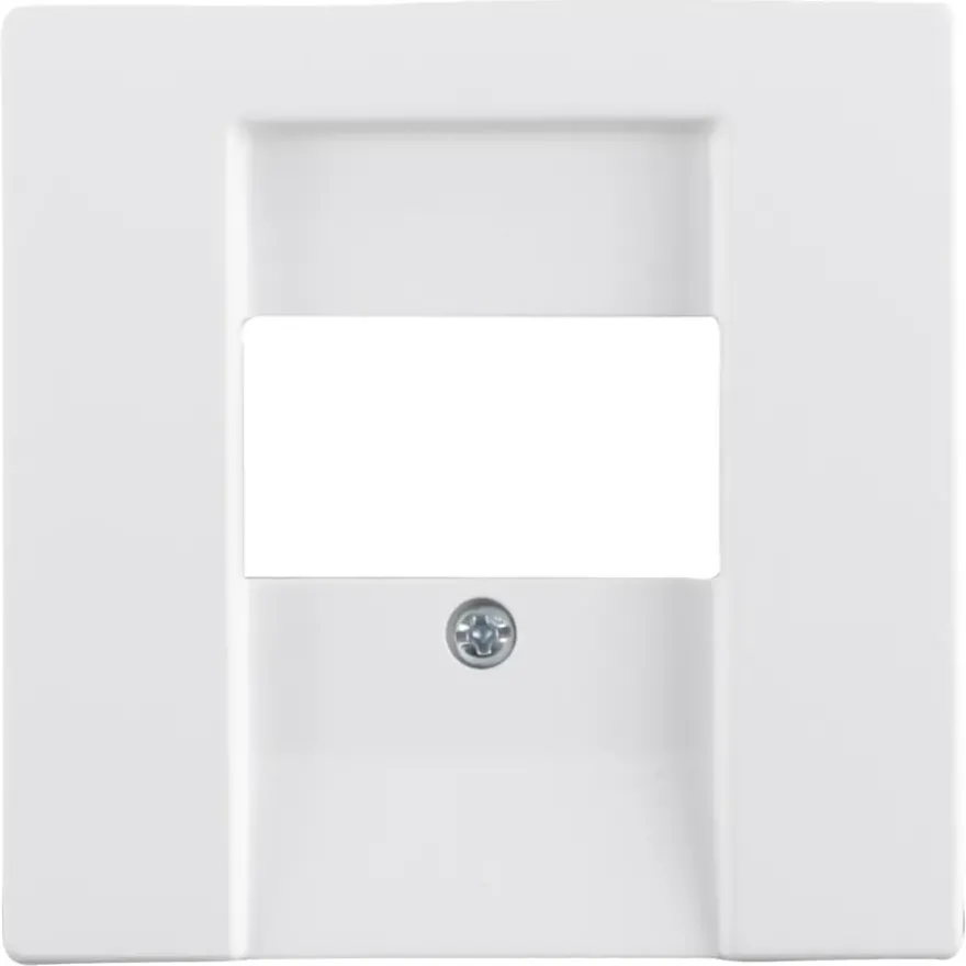 Busch-Jaeger Future Linear Afdekplaat USB Wit