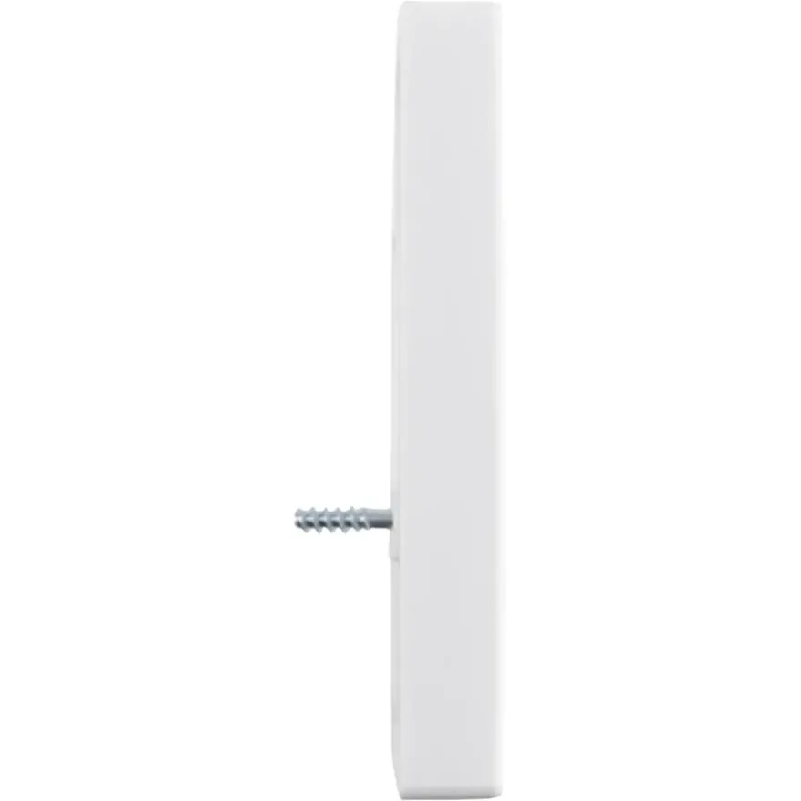 Busch-Jaeger Future Linear Afdekplaat USB Wit