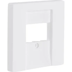 Busch-Jaeger Future Linear Afdekplaat USB Wit