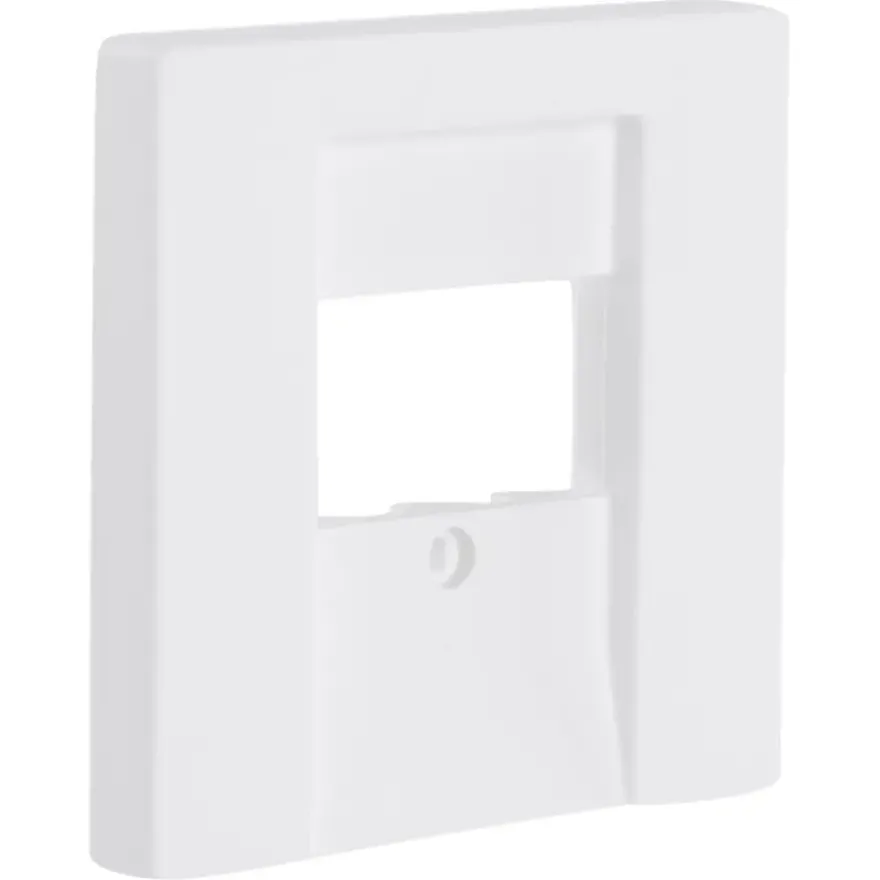Busch-Jaeger Future Linear Afdekplaat USB Wit