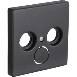 Busch-Jaeger Future Linear centraalplaat radio/TV zwart
