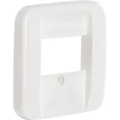Busch-Jaeger Reflex SI Afdekplaat USB Wit