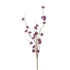 Callicarpa spray paars 97cm