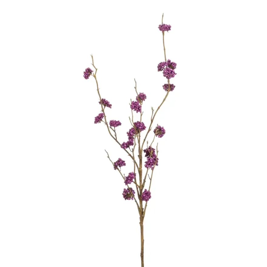 Callicarpa spray paars 97cm