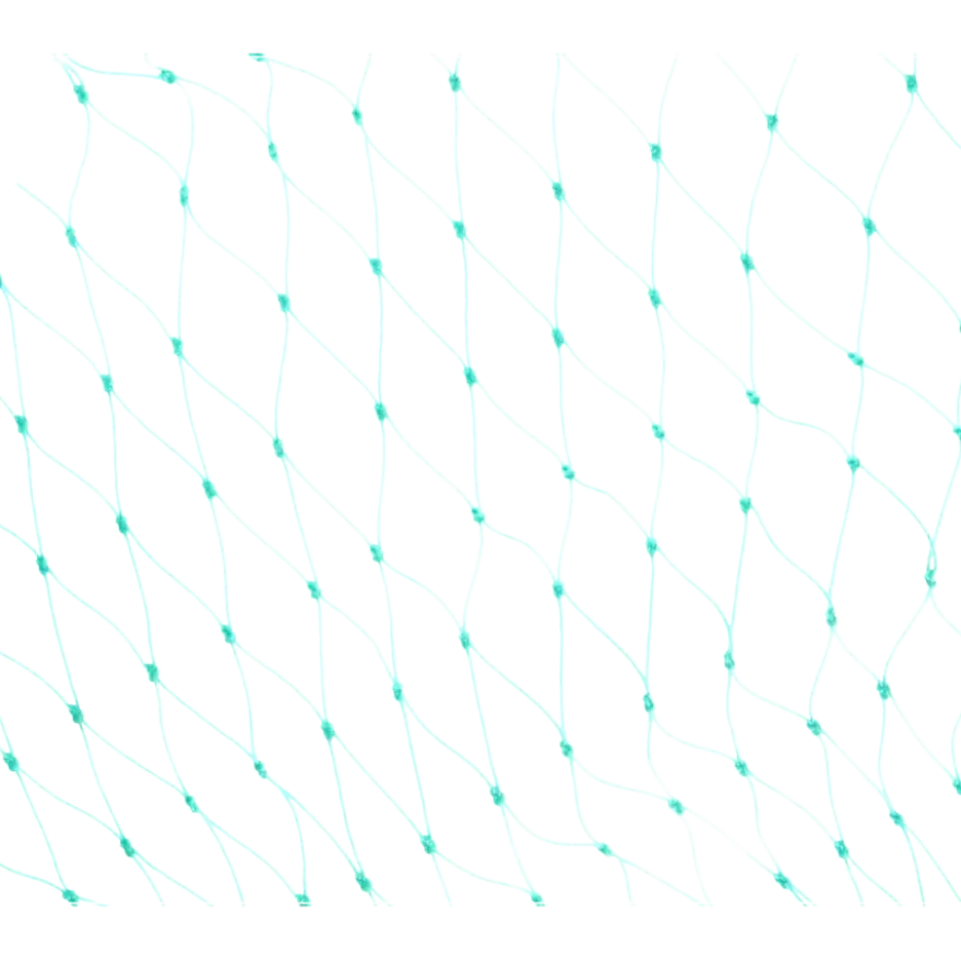 Carpoint Aanhangernet 160x250cm twisted