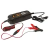 Carpoint Acculader Intelligent 3,5A 6-12V