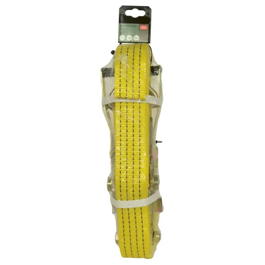 Carpoint extra brede spanband met ratel en haken 9m