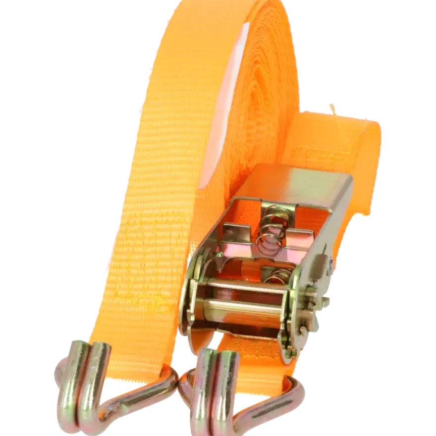 Carpoint Ratel Spanband met Haken 5 Meter