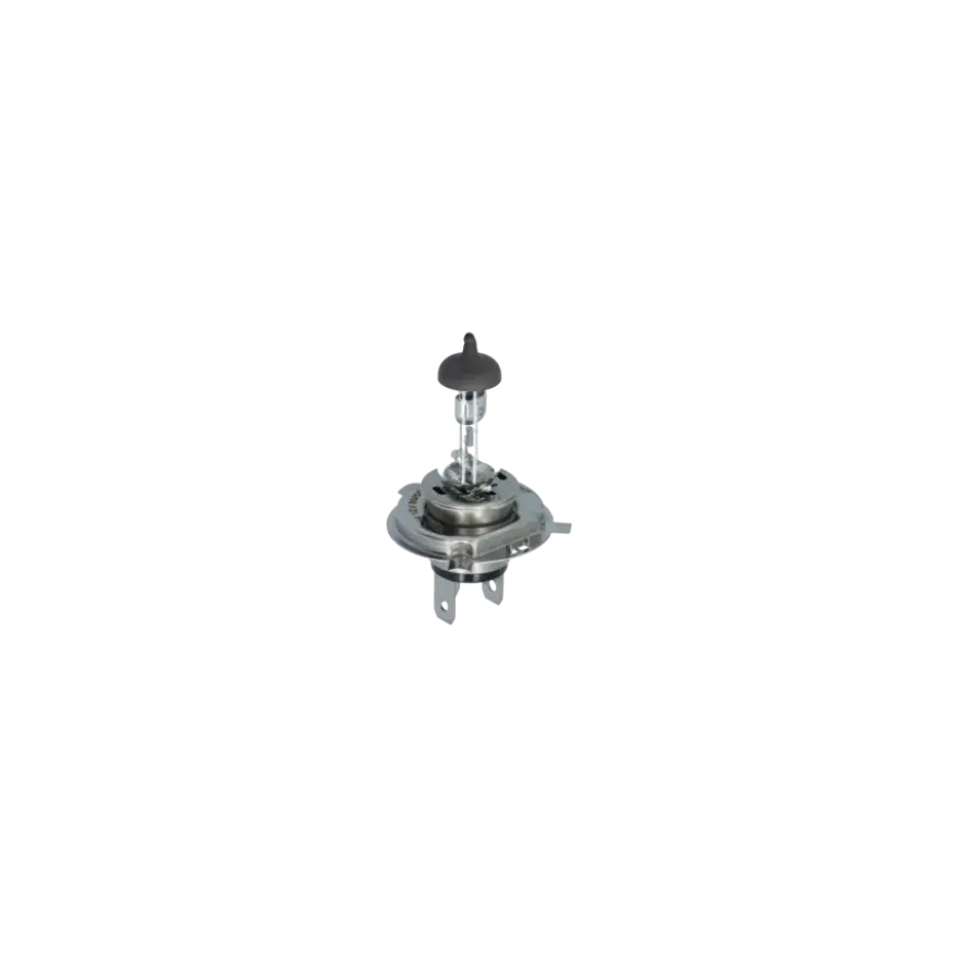 Carpoint Reservelampenset H4 30-Delig
