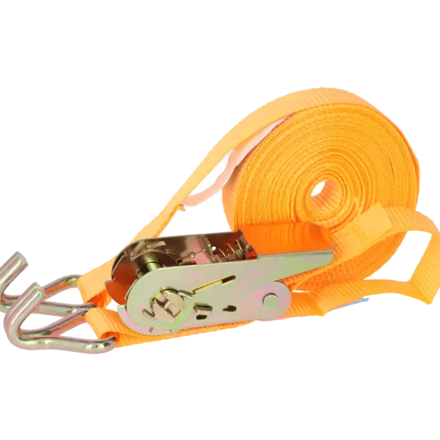Carpoint Spanband met Ratel en Haken 3 Meter