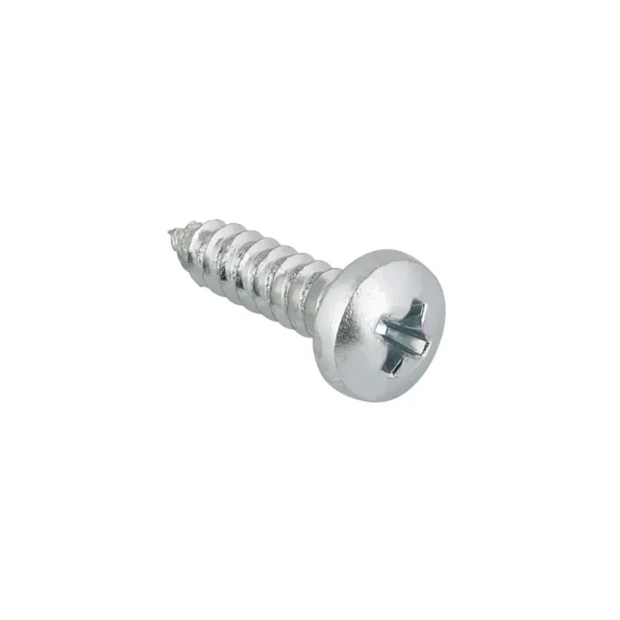 Carroserie schroef cilinderkop verzinkt 5,5x19 mm 15 stuks