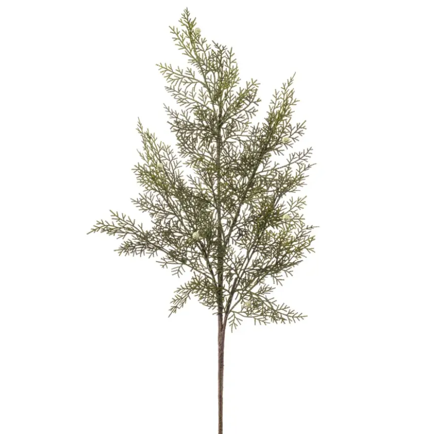 Cedar spray groen 80cm