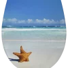 Cedo Starfish wc bril softclose duroplast