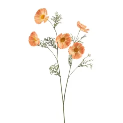 Cosmos spray geel 70cm