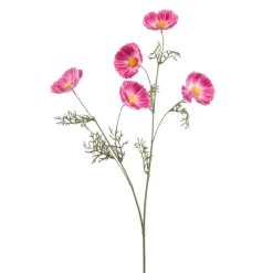 Cosmos spray roze 70cm