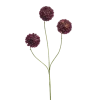 Dahlia pompom mini burgundy 68cm