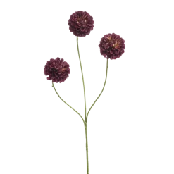 Dahlia pompom mini burgundy 68cm