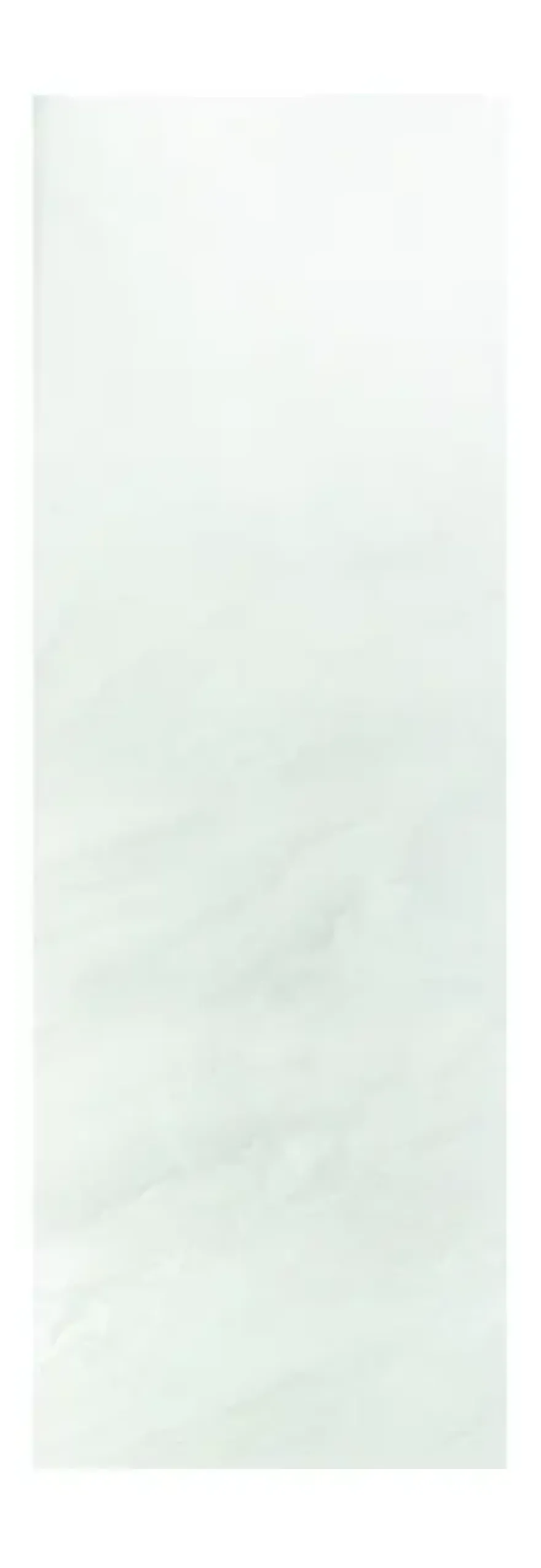 Dumawall XL kunststof wandbekleding Evora glans 4,68m² 90x260cm - 2 stuks