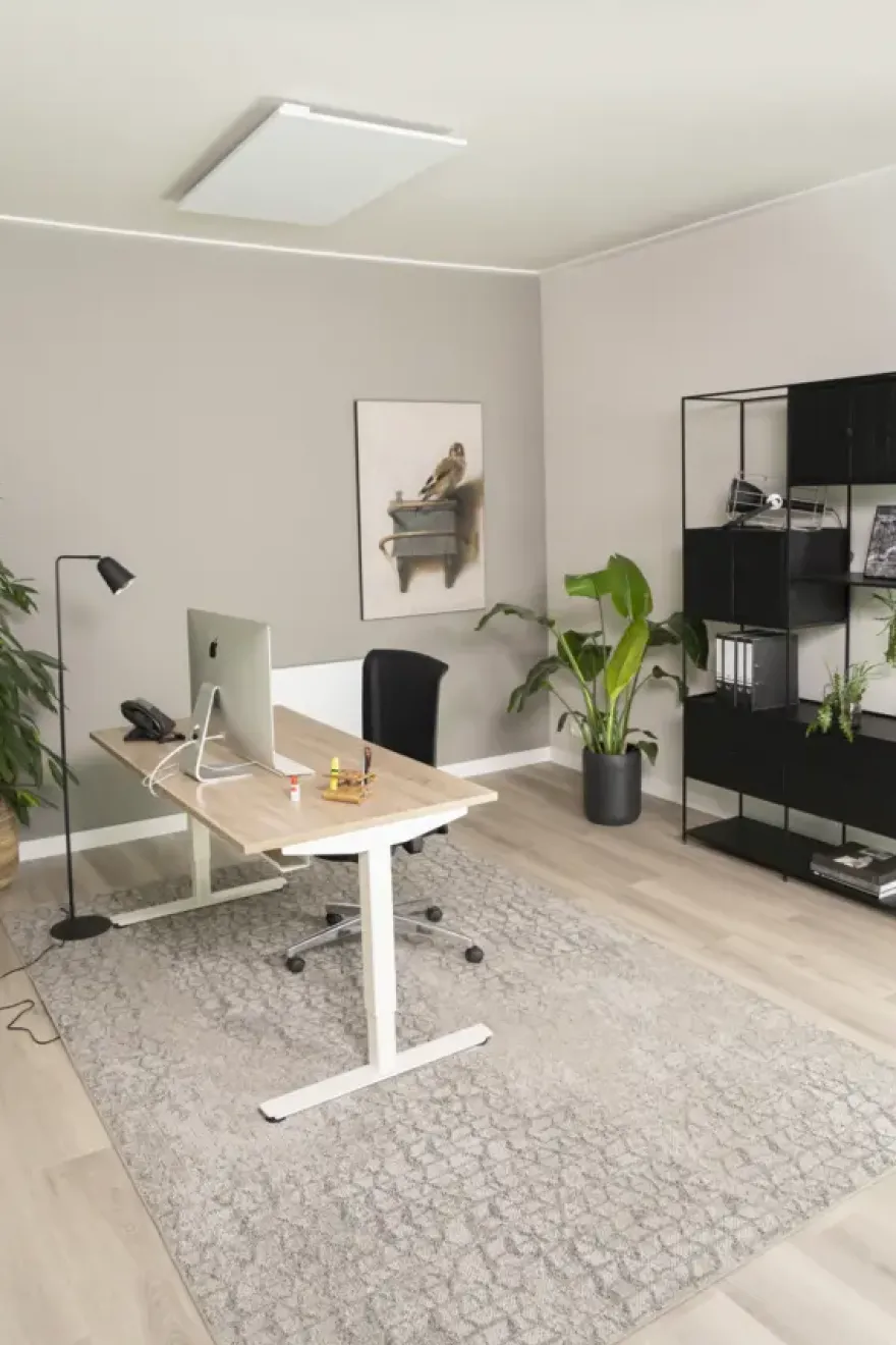 Eurom infraroodpaneel Mon Soleil 800 Plafond 120x70 cm glas