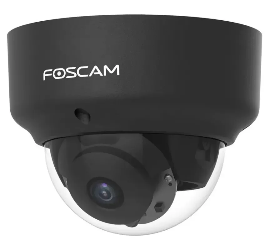 Foscam D2EP Zwart