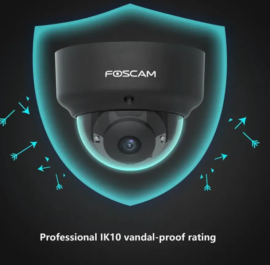 Foscam D2EP Zwart