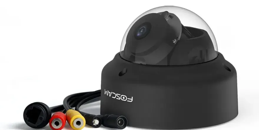 Foscam D2EP Zwart