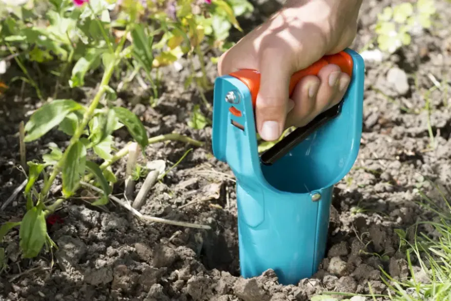 Gardena bollenplanter