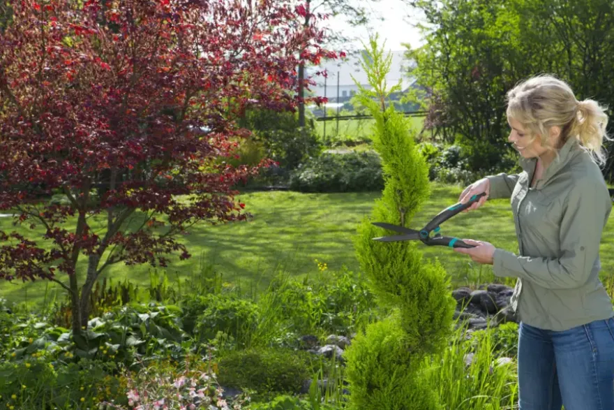 Gardena buxusschaar PrecisionCut
