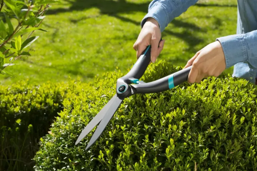 Gardena buxusschaar PrecisionCut