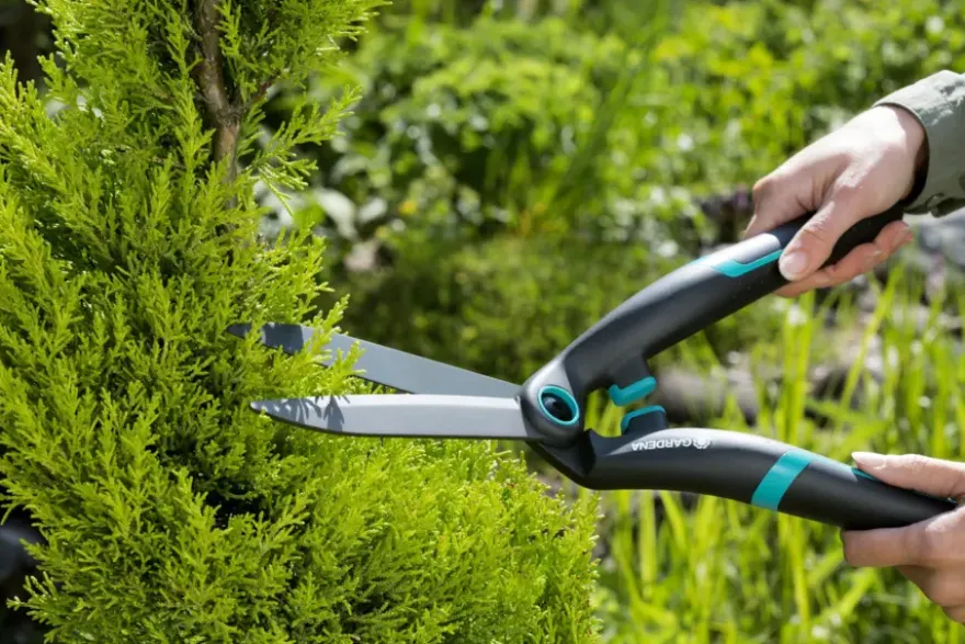 Gardena buxusschaar PrecisionCut