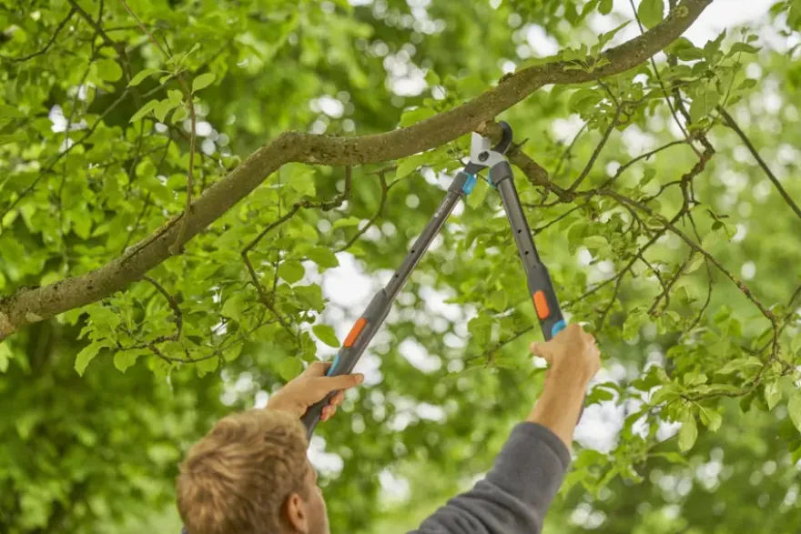 Gardena takkenschaar TeleCut Pro S