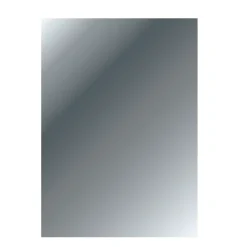 Haceka badkamerspiegel rechthoek 25 x 90 cm zilver
