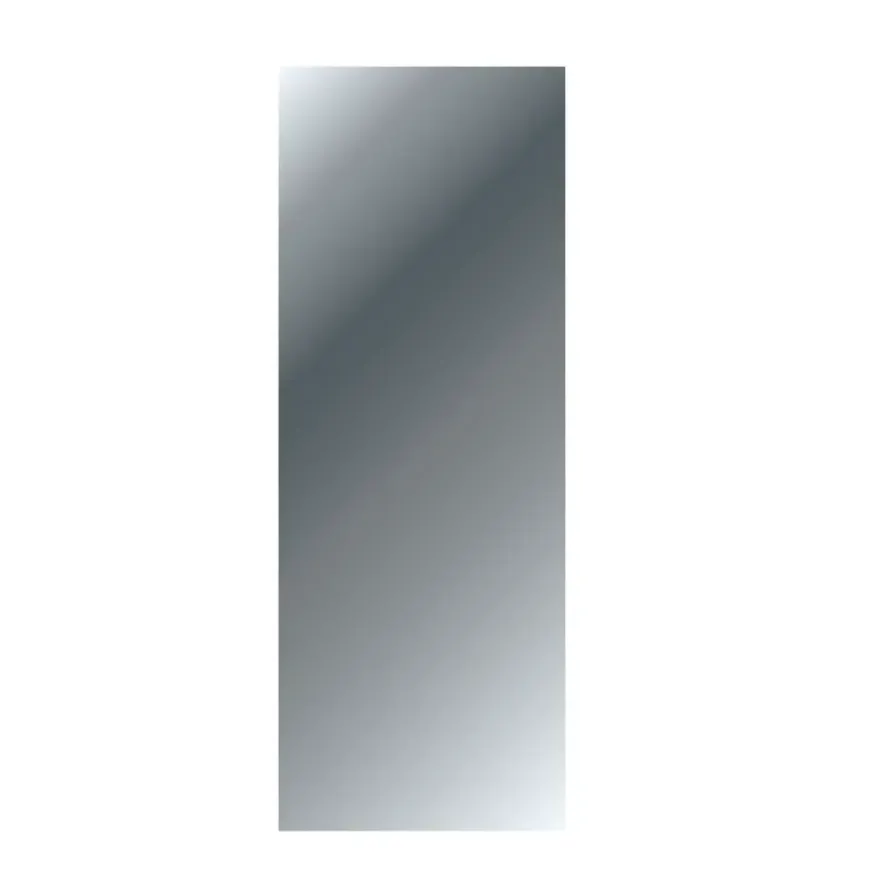 Haceka badkamerspiegel rechthoek 45 x 120 cm chroom