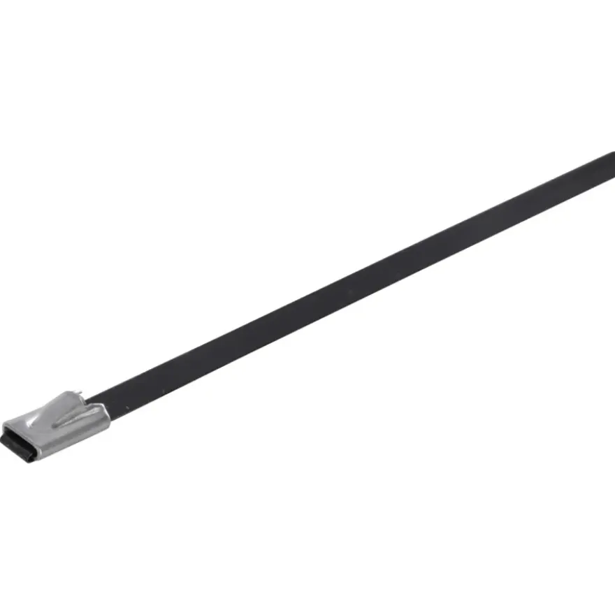 Handson Bindband RVS 4.6 X 300 mm 25 Stuks