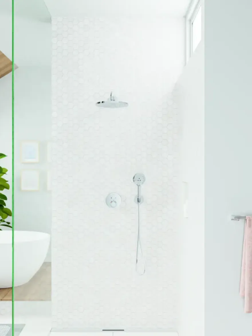 Hansgrohe douchekop Raindance handdouche 3 standen ø 12 cm chroom