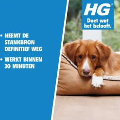 HG alle nare geurtjes weg 500 ml